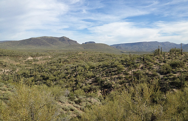 view