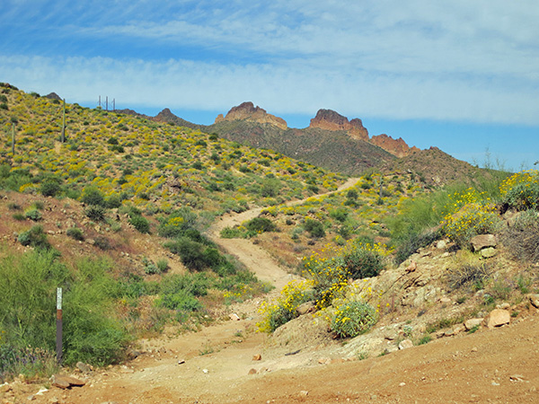 road