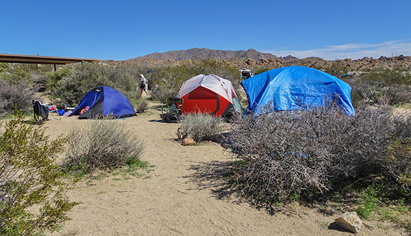 camp
