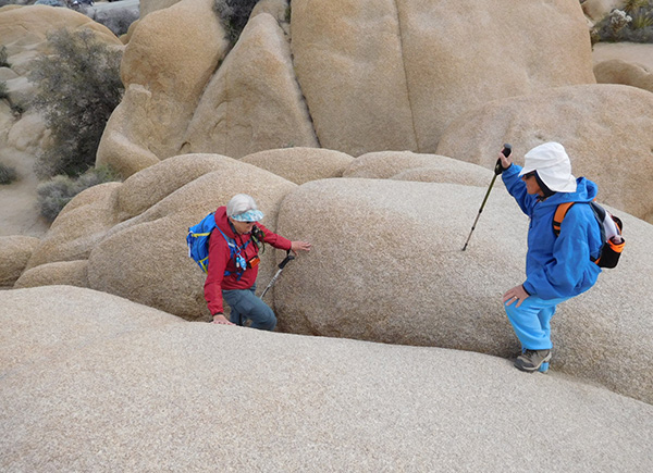 rocks