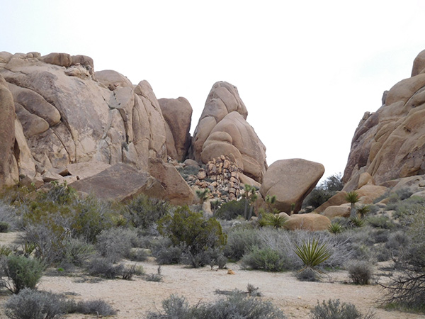 rocks