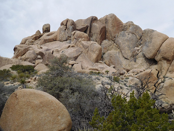 rocks