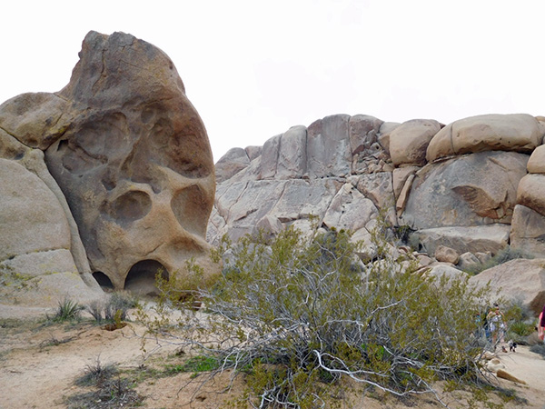 rocks