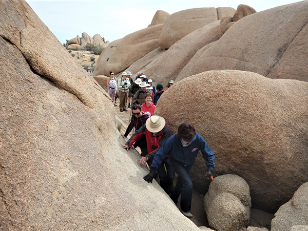 hikers