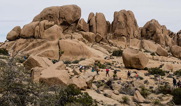 hikers