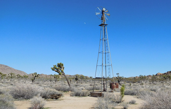 windmill