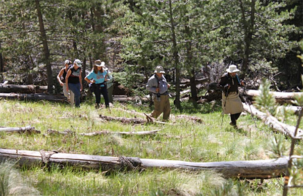 hikers