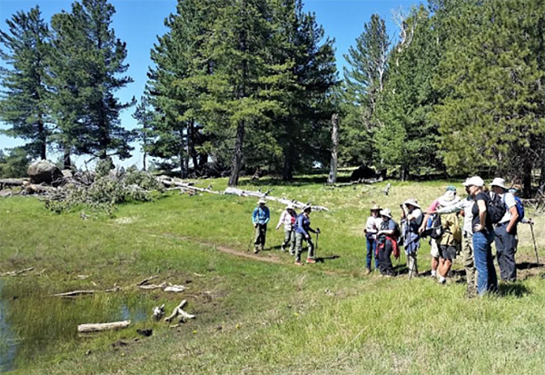 hikers