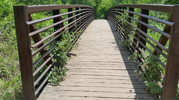 bridge