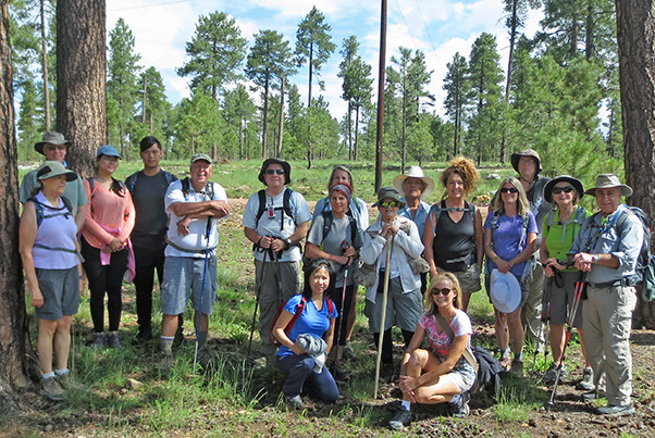 group