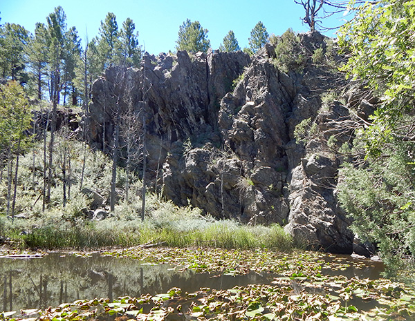 pond