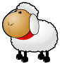 sheep