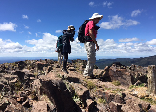 hikers