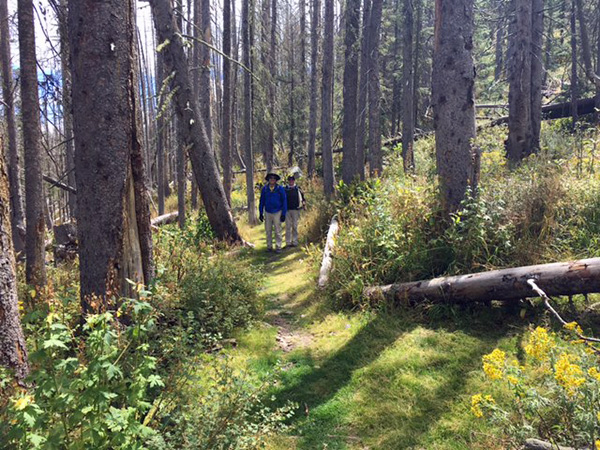 trail