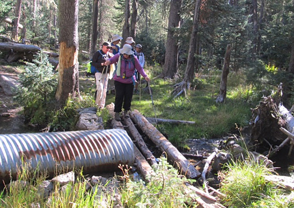 logs