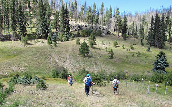 trail