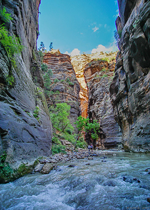 rapids