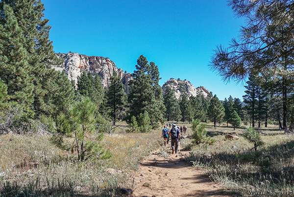 hikers