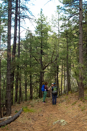 hikers