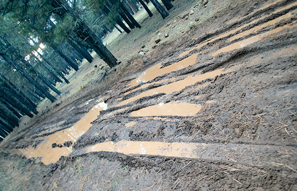 mud
