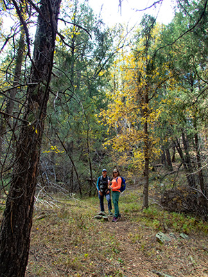 hikers