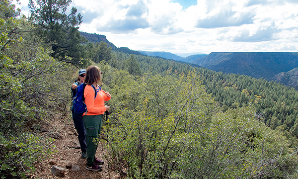 hikers