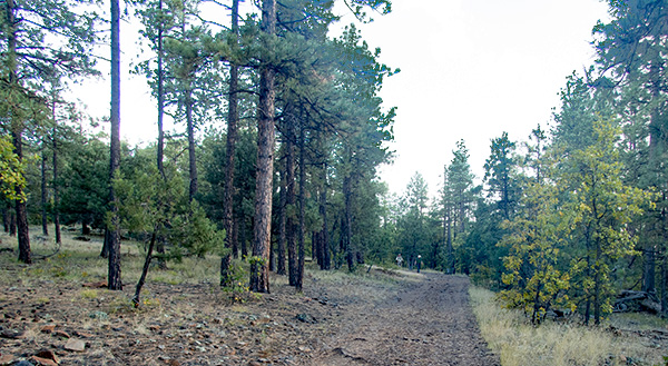 road