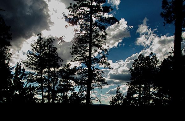 sky