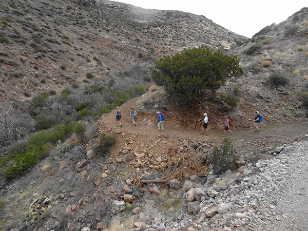 hikers