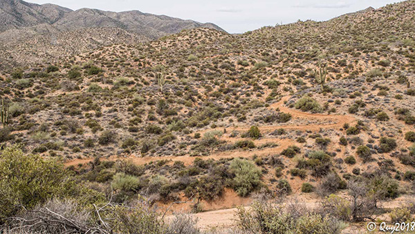 trail