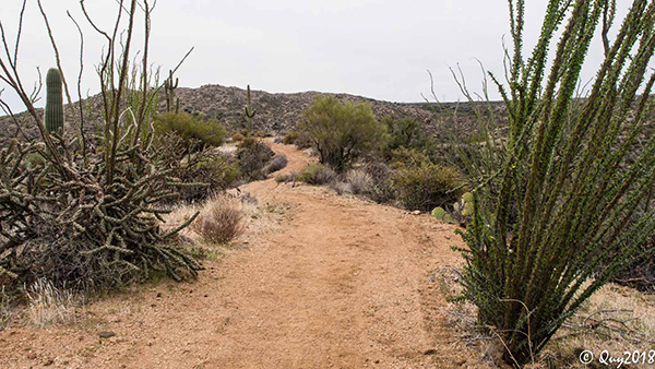 trail