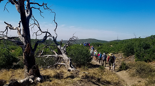 hikers