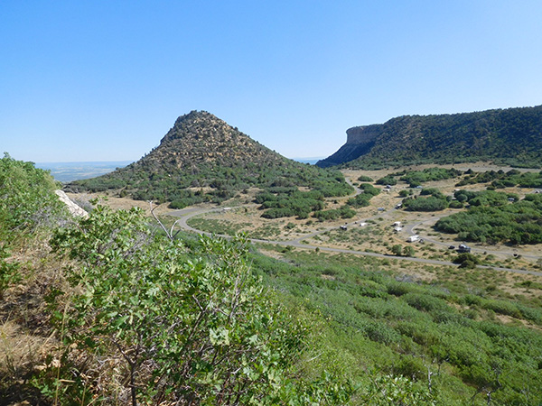 view