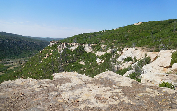 mesa
