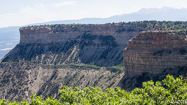 mesa