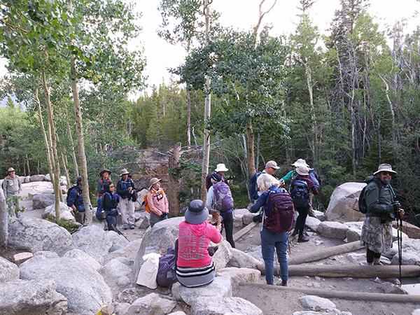 hikers