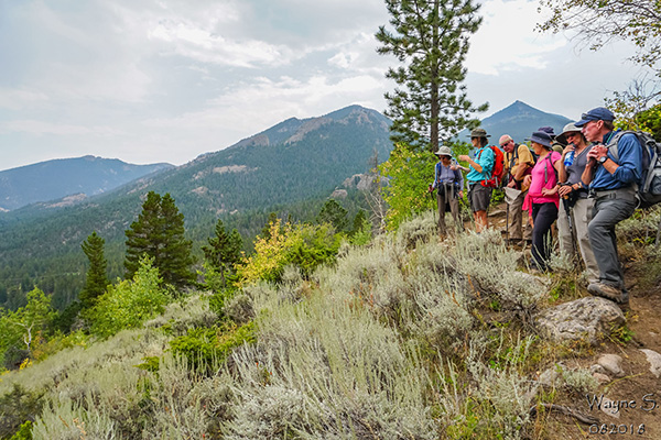 hikers