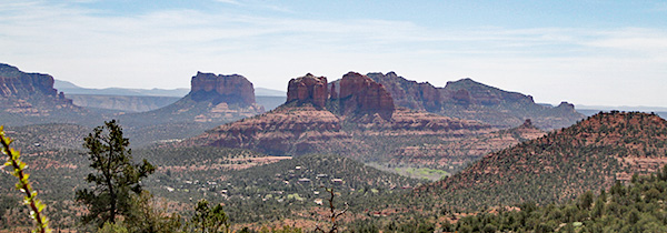 view