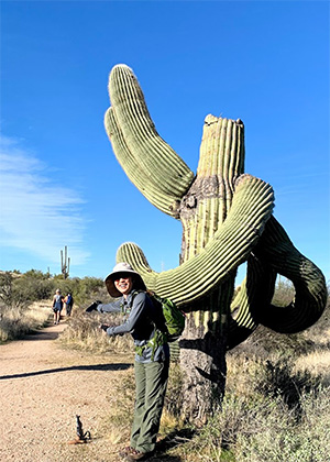 cactus