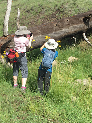 hikers