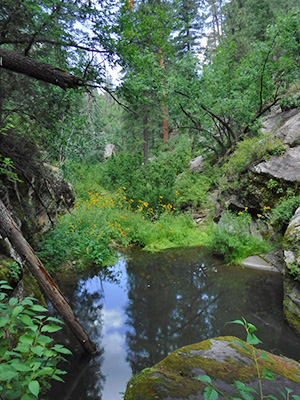 water