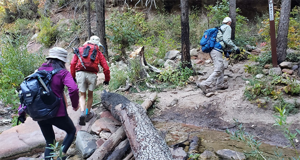 hikers