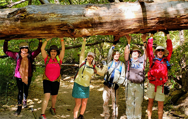 hikers
