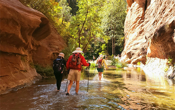 hikers