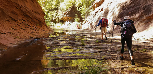 hikers