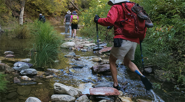 hikers
