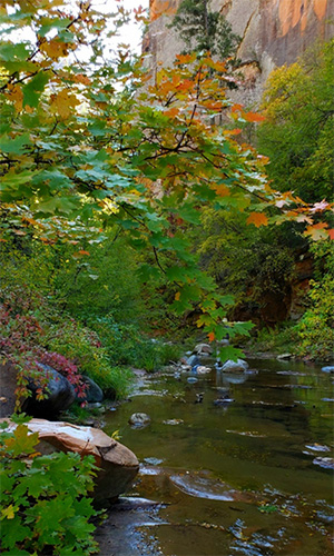 fall