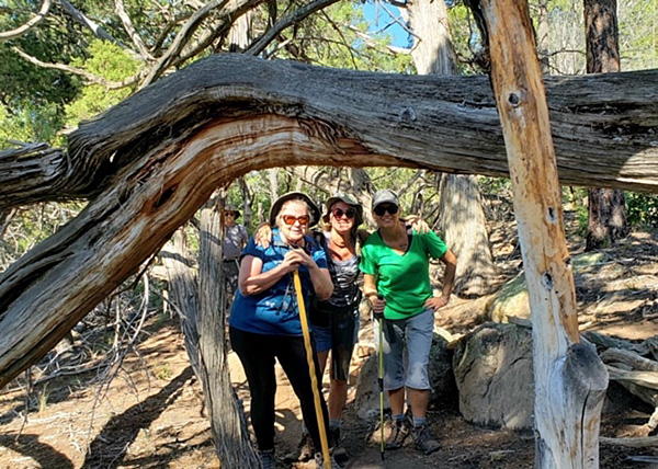 hikers