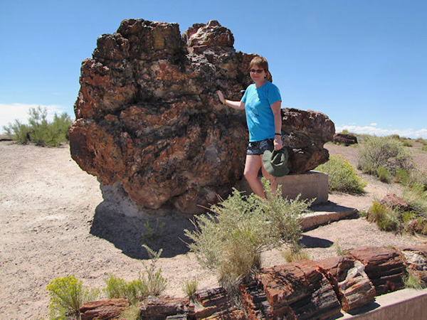 petrified