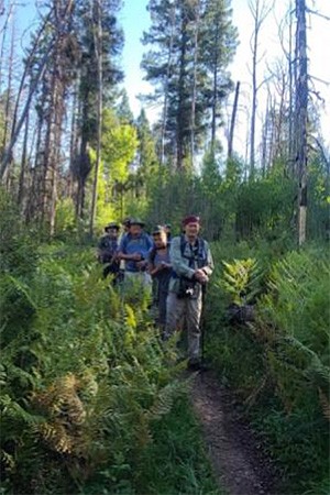 hikers
